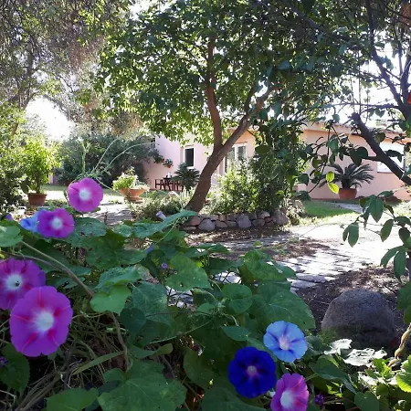 펜션 Casa Ferula Cagliari 콰르투 산텔레나